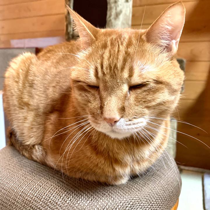 B6fb72cd 27f6 4adf acdb 1d9285dddee7 1582960129868