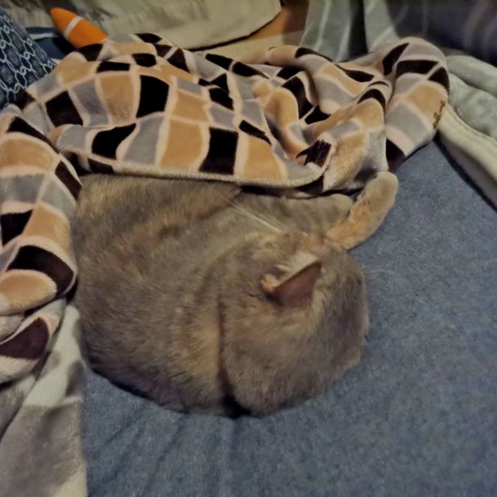 B6fb84da bac4 4938 97dc 4ea5c377ca45 1603724963726