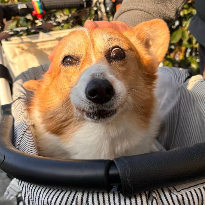 B6fb8bc6 187e 4318 a37c 2e4be5af6089 1768614913489