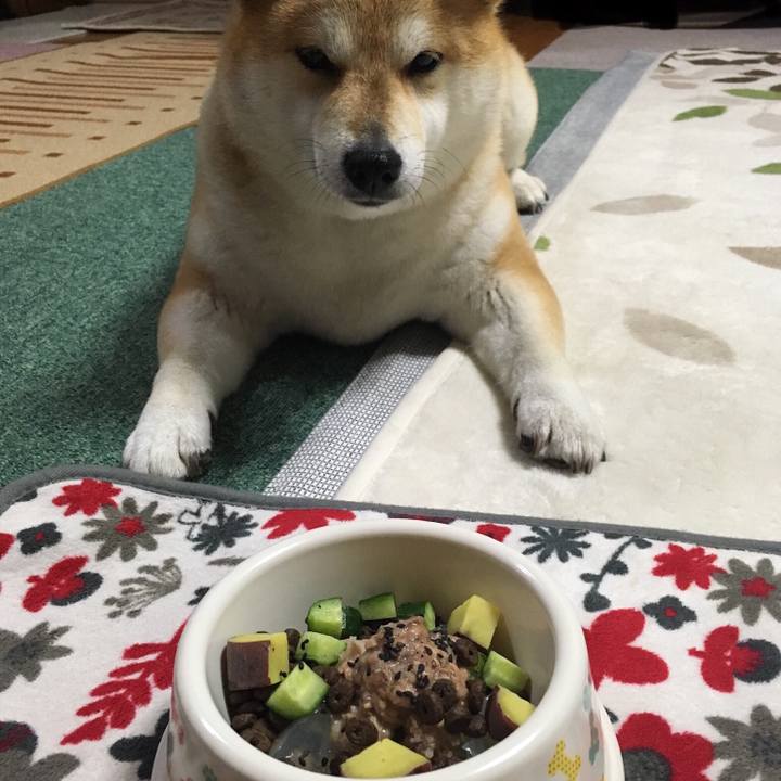 B6fb8ff4 8ef0 4d08 8c2d 46dd8b565d0f 1555844408512