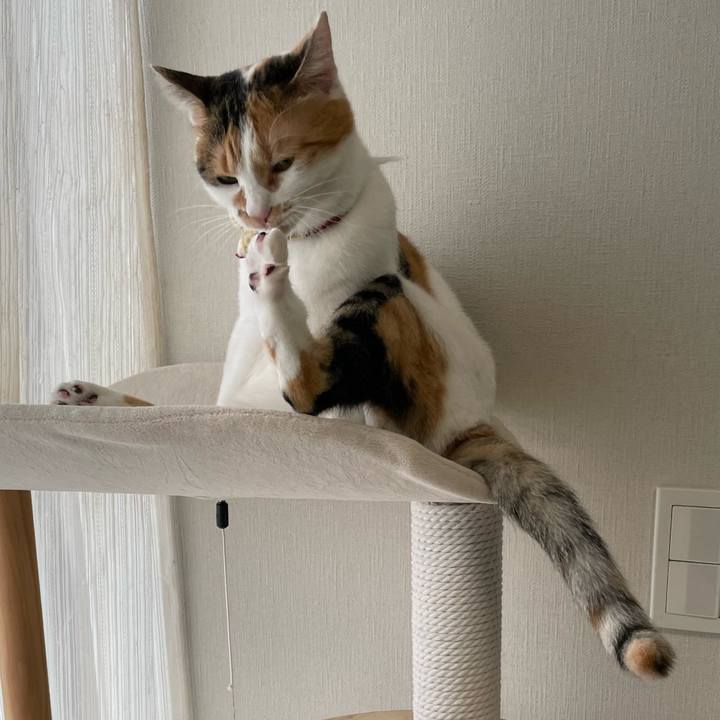 B6fbe7a5 6392 40f7 abe2 3502f18d6d22 1637206137842