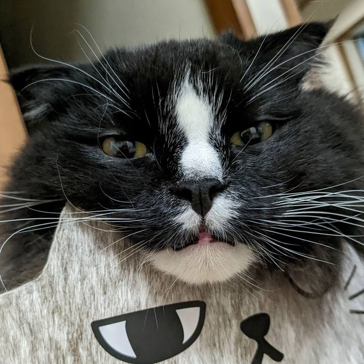 B6fc4177 b8a5 4f57 9a34 7b9fa29f376c 1666613645111