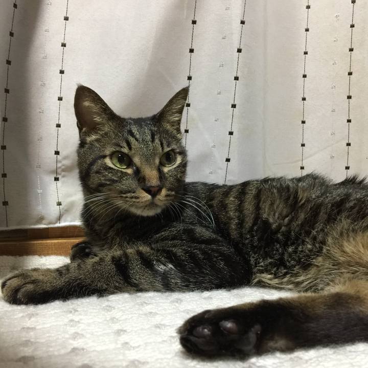 B6fc5bb4 419a 4c31 9794 ccf1e35fc275 1561724101068