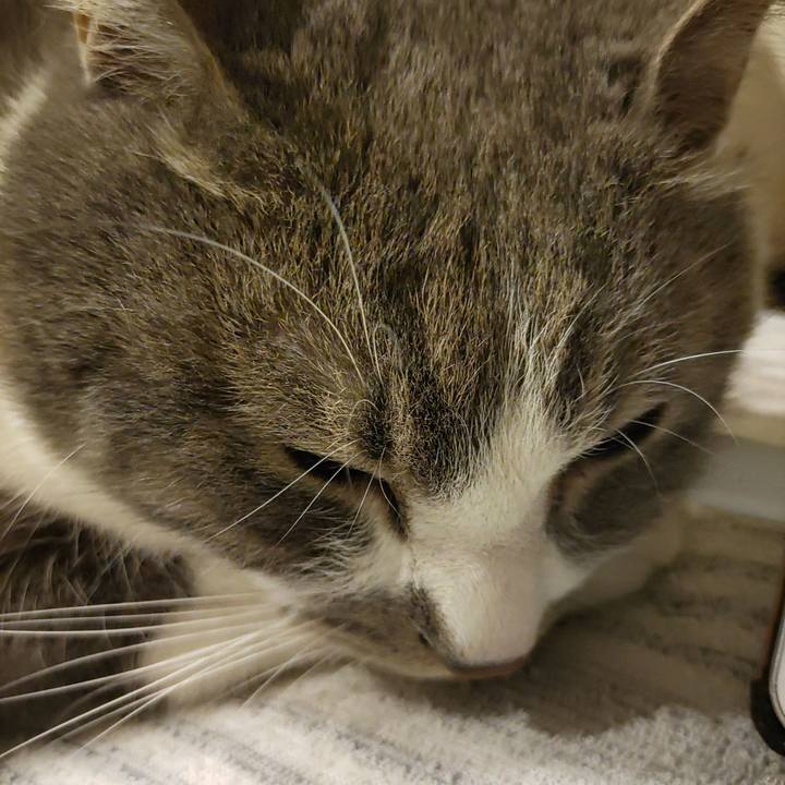 B6fc6285 c62c 4567 b89e c3030bc2a55b 1713696407875