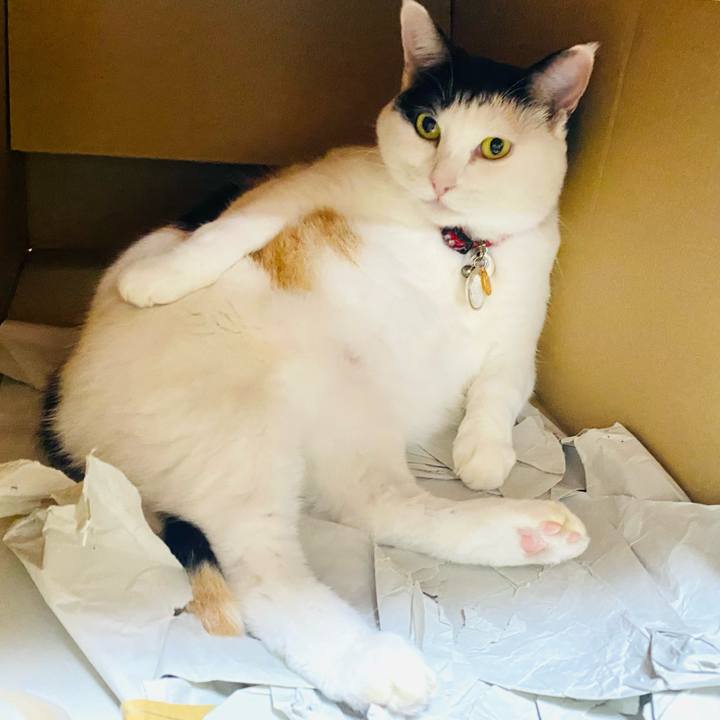 B6fc7f94 6059 4b88 bdab ee6791241e5d 1730846286547