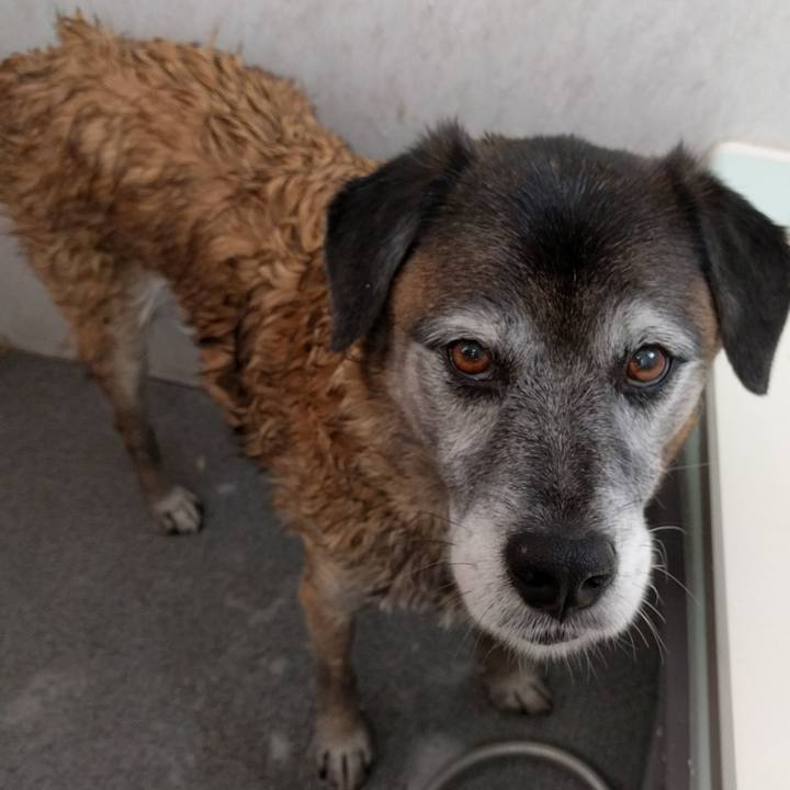 B6fc911e 8ec2 44a9 89bb 3577fc484cf2 1545960637988