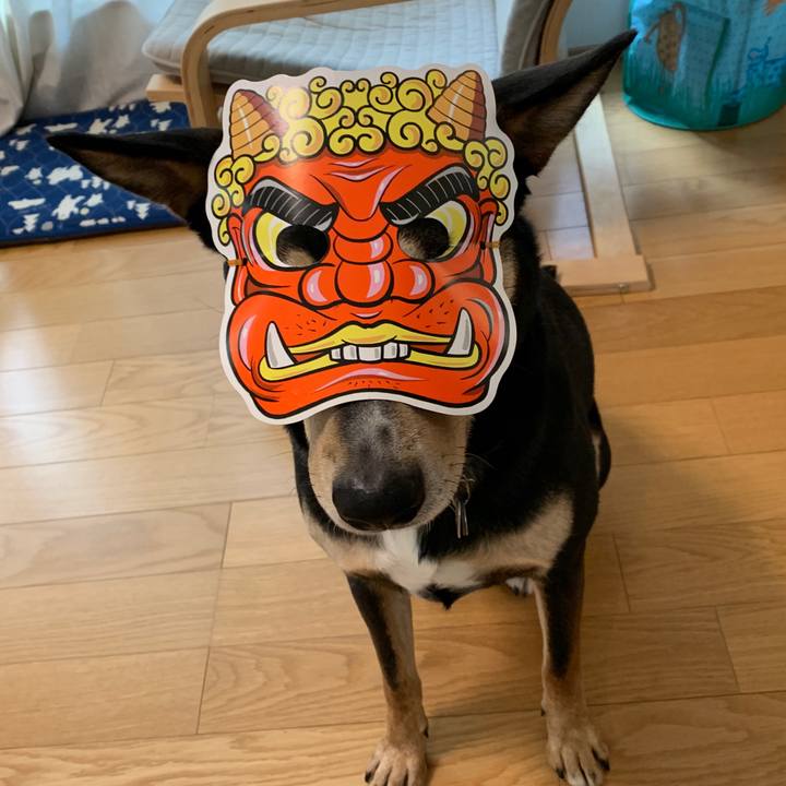 B6fc9771 40eb 459f 9c10 74ed700b88ff 1580735223101