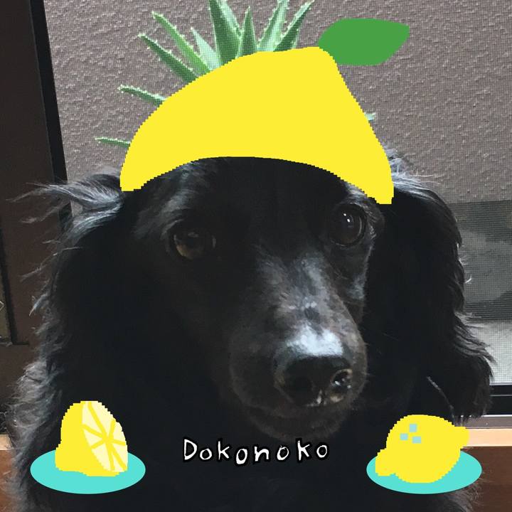 B6fd077f a90b 4668 9aef 36b667ded987 1741060663597