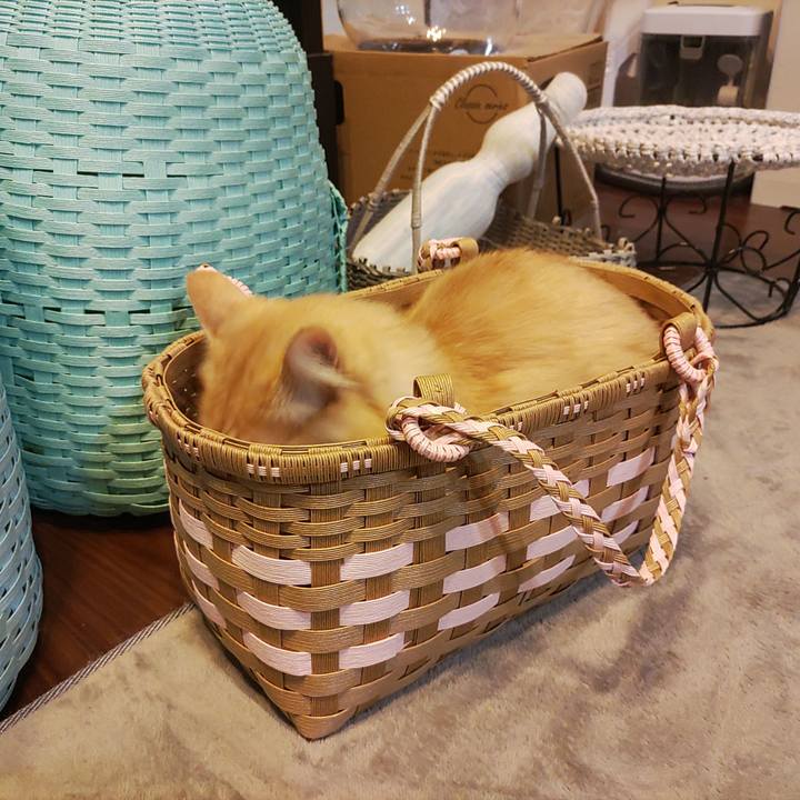 B6fd0851 614a 4e25 bd7b 24f569e65332 1669068667546