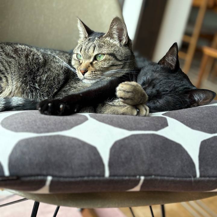 B6fd0a69 d351 4738 bb95 af44e6225503 1765087947813