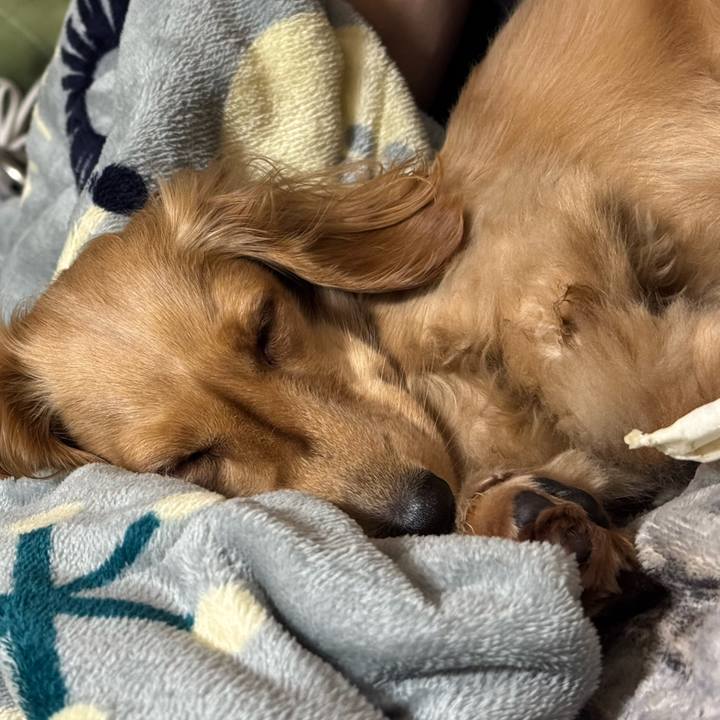 B6fd330c d4b1 48ff a318 02366a9912a1 1735216255296