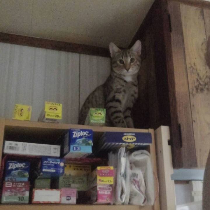 B6fd454e fb9d 4847 bb74 2e508421460c 1568357698266