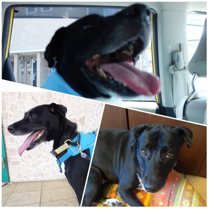 B6fd47c9 2c04 4834 9489 076d3e732516 1626863784200