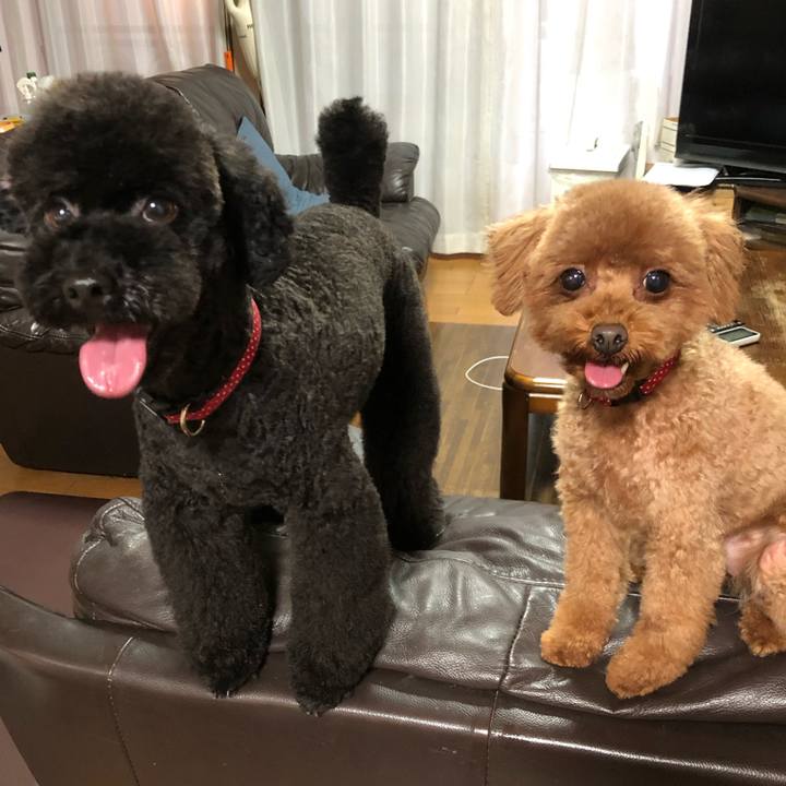 B6fd4999 d0e2 4558 a005 44d9df60ea90 1562462612896