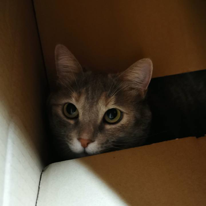 B6fd9310 164c 466f 863e d19b89369109 1630418713970