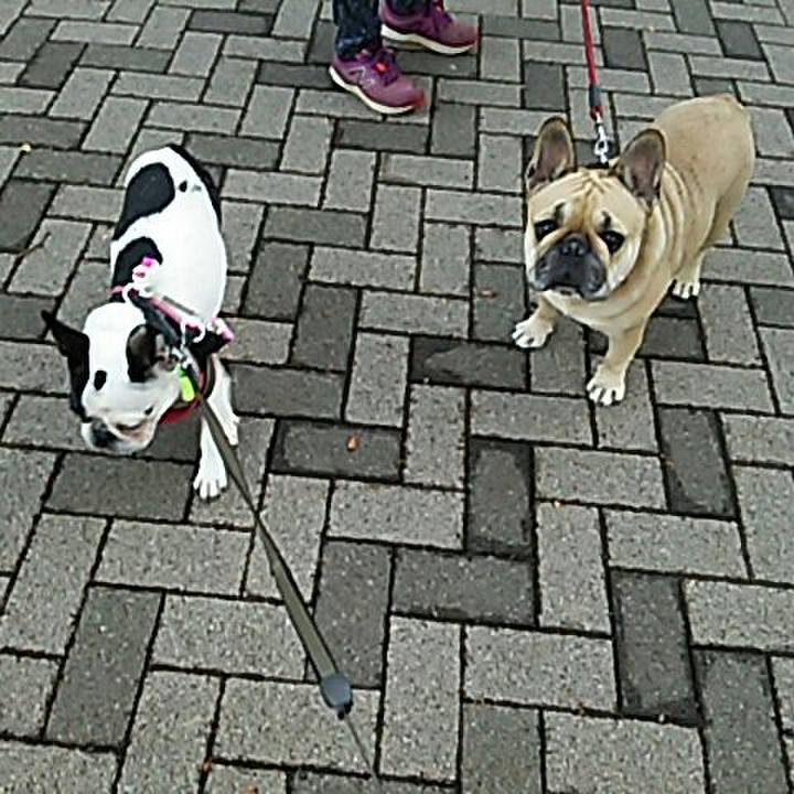 B6fd9e1a 4e26 4980 b878 55039c7b788f 1539513873295