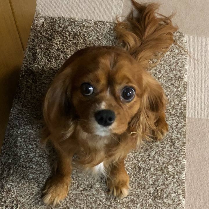 B6fdb7bd 72f6 4112 8895 dda273eef4b3 1559310732200