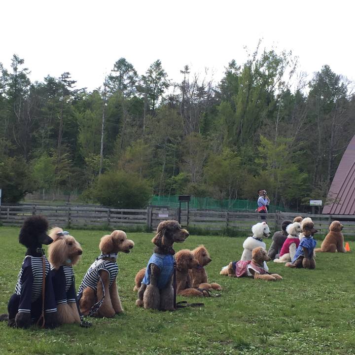 B6fdf0d4 b160 4e6c 94fb 8e4a5fd10bc6 1525936142337