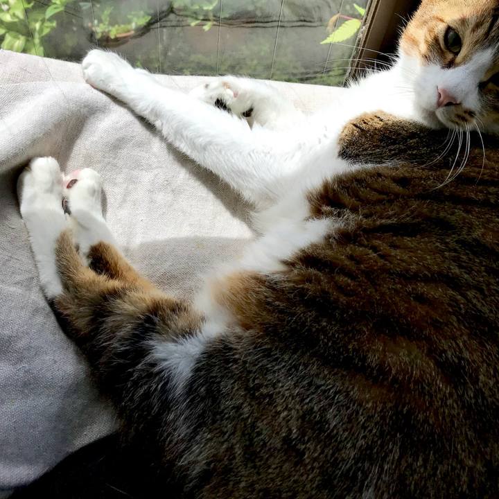 B6fe5019 875d 4bb7 adbc 751c31ad1680 1556677409927