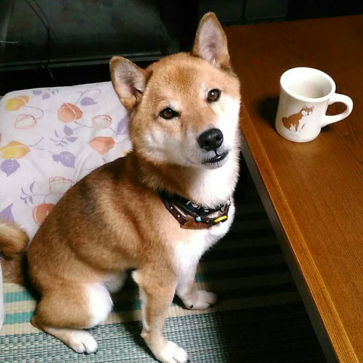 B6fe62d8 01d2 4d45 9a2a a89ccff4a692 1567589241724