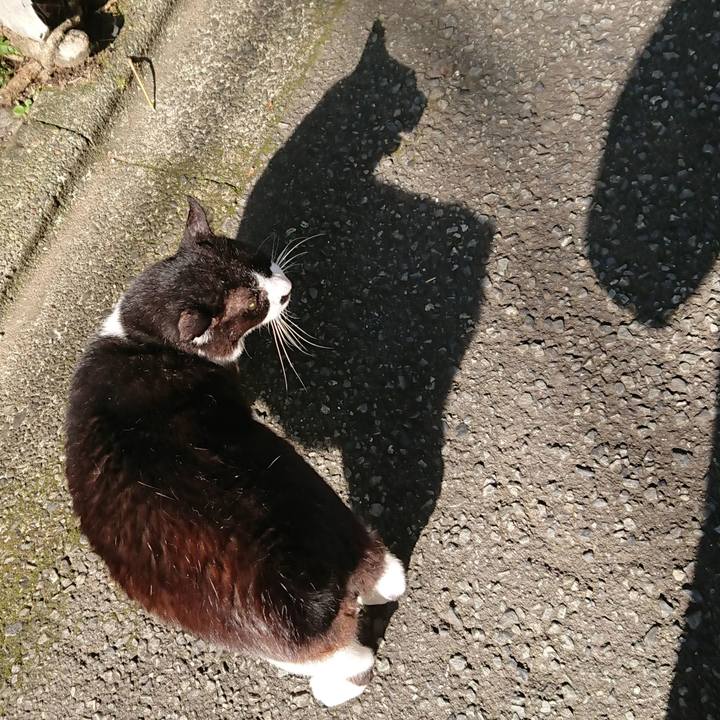 B6fe7c3e 5a04 41ea 8892 bd1750eacfcf 1566381562497