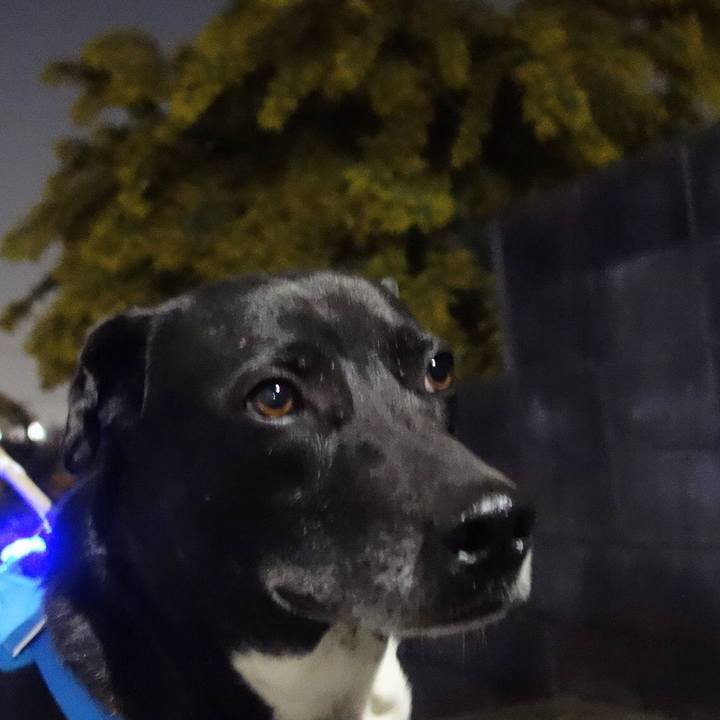 B6fe91a0 34cd 4b3f a4f8 f6ca509fc45a 1678446734026