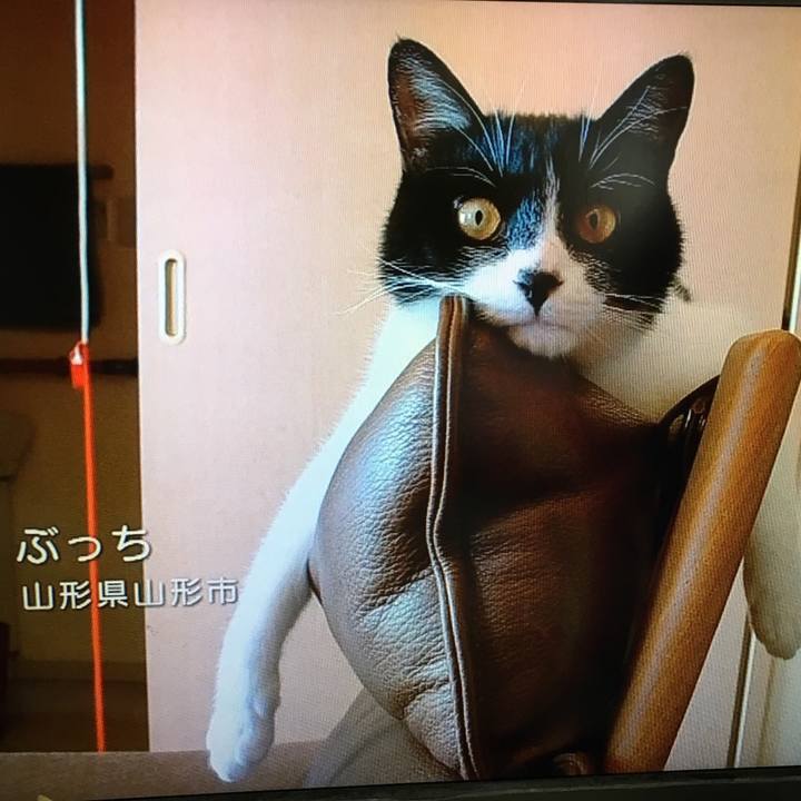 B6feaade 5fe2 4e18 9909 0ed98b3732cb 1566298695811