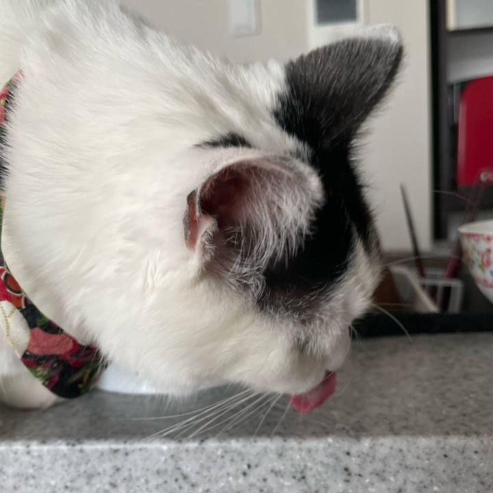 B6ff14d4 47f9 4d2f 8790 201a6be63e3a 1647142552570