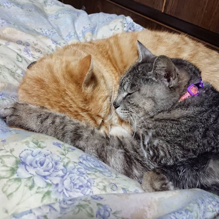 B6ff30dd d53c 4a12 a5fd 0b3f623d438e 1588076966885