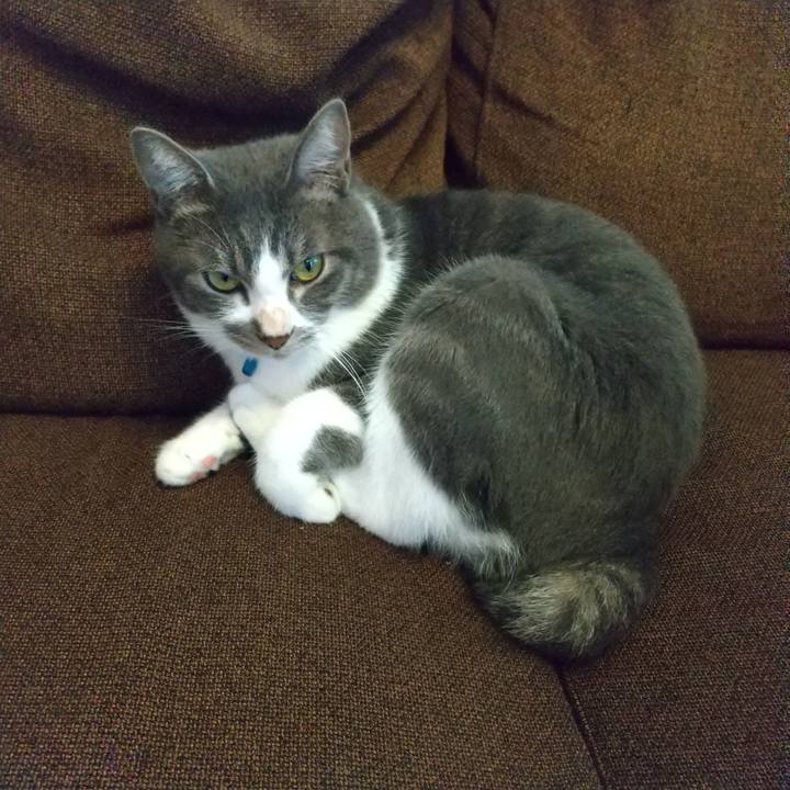 B6ff3a4f 5d4c 4461 8110 fe008744909e 1601091603760