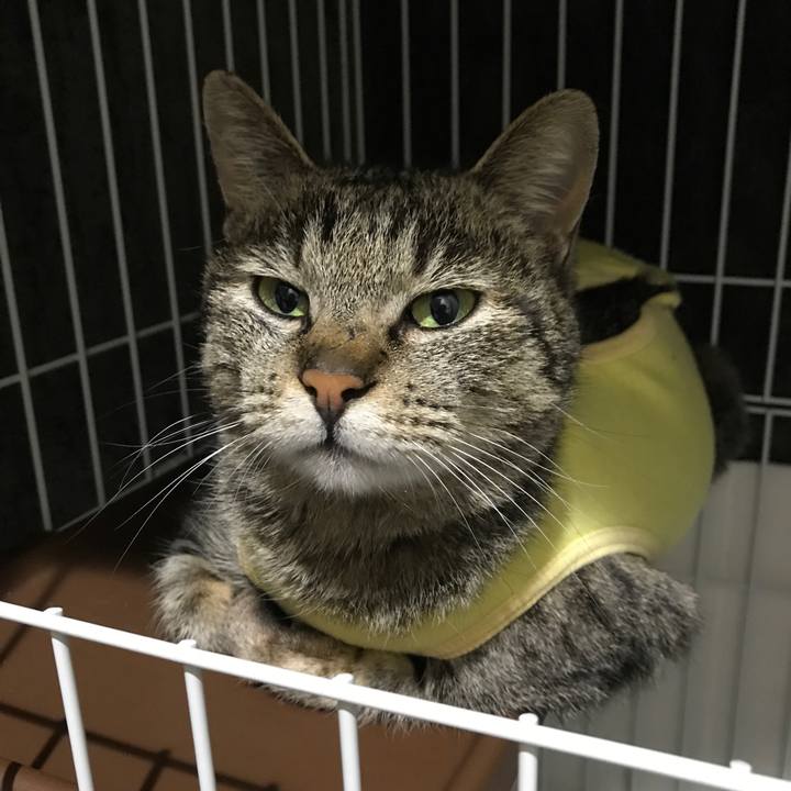 B6ff4118 f1ba 466e 8495 dc4fc7edd08f 1523672091908