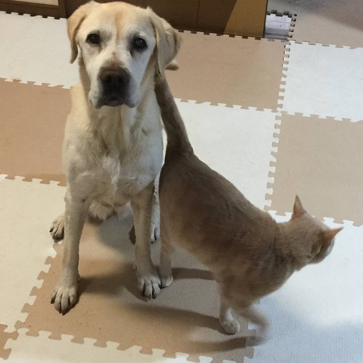 B6ff4af6 b9cf 4e6d bed1 4239bbf76f10 1524017120260