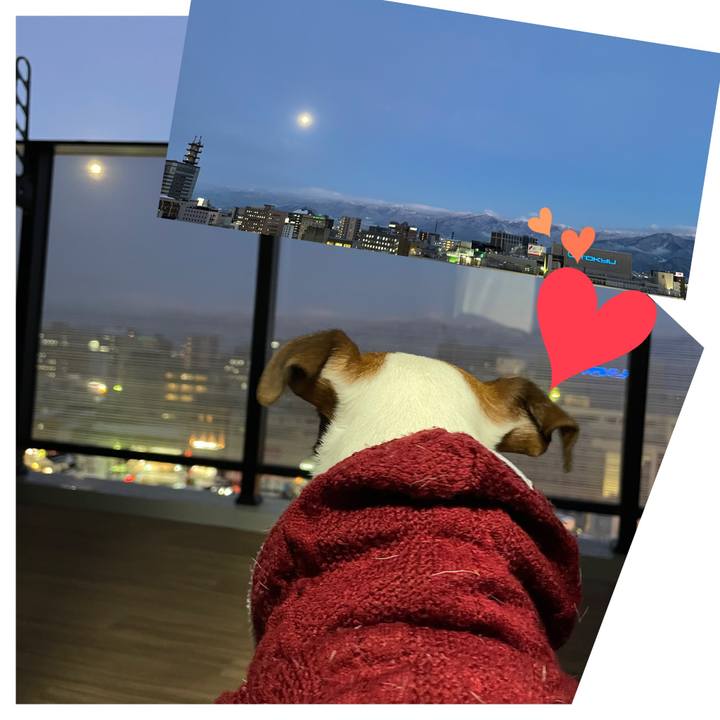 B6ff5819 d368 4722 a724 27ab03b8646e 1642408017944