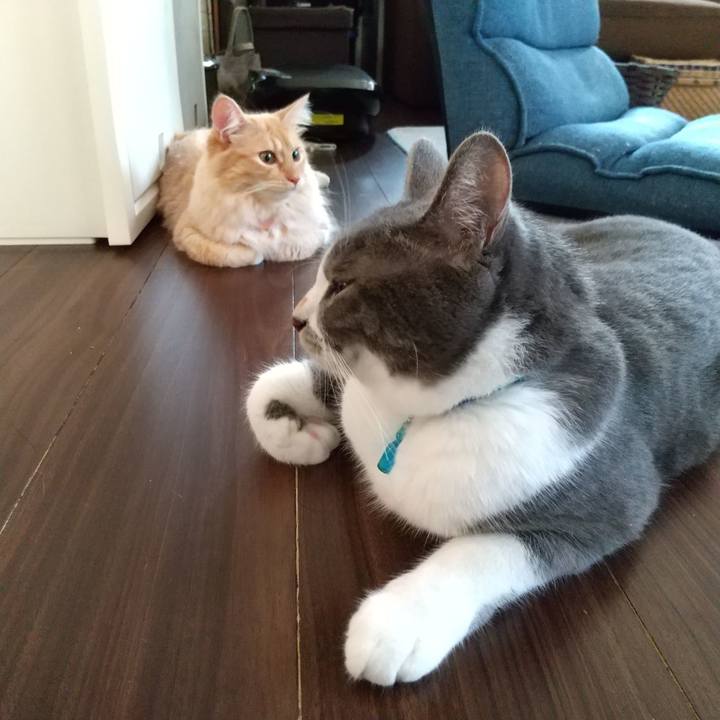 B6ff6954 e68b 47a4 994a 2b1de38bdfef 1629930848689