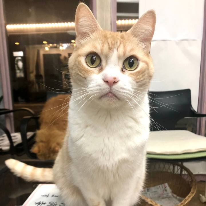 B6ff978a e8de 4882 8bef e7daeaa2ac6b 1645485010928