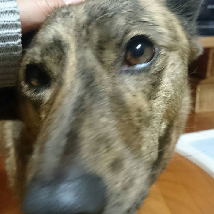 B6ffa62d 01d0 45ec bb02 db216db441f0 1514885670973