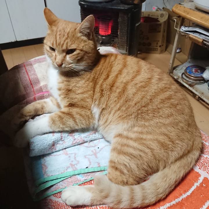 B6ffb274 a074 4a31 80ca 5ee455747c14 1606299532528