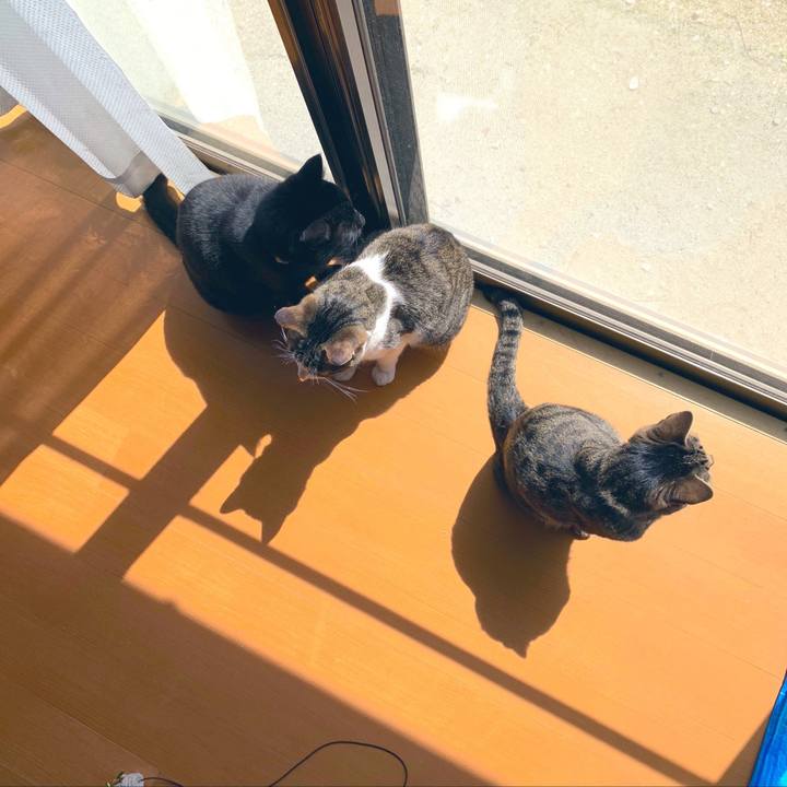 B6ffcca3 4dba 4669 929c 4149d49477e7 1553588472915