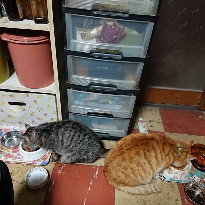 B70028f8 76c4 421a bb20 9dae02988791 1584349965147