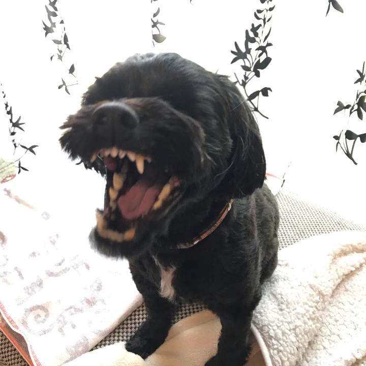 B7003a3c 61cb 40f7 9030 8e8239d7f924 1557900827740