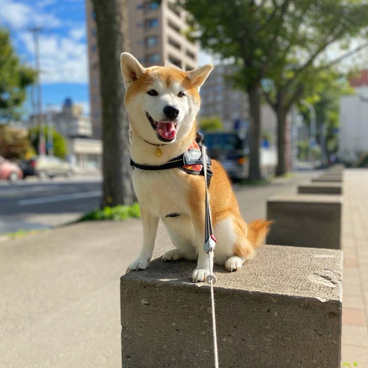 B7007676 a413 4454 ac17 58d3d73b0b07 1630466277354