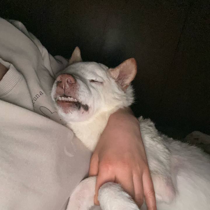 B7008227 5240 4ecc 902b 1c88ffb6eb75 1674424816405