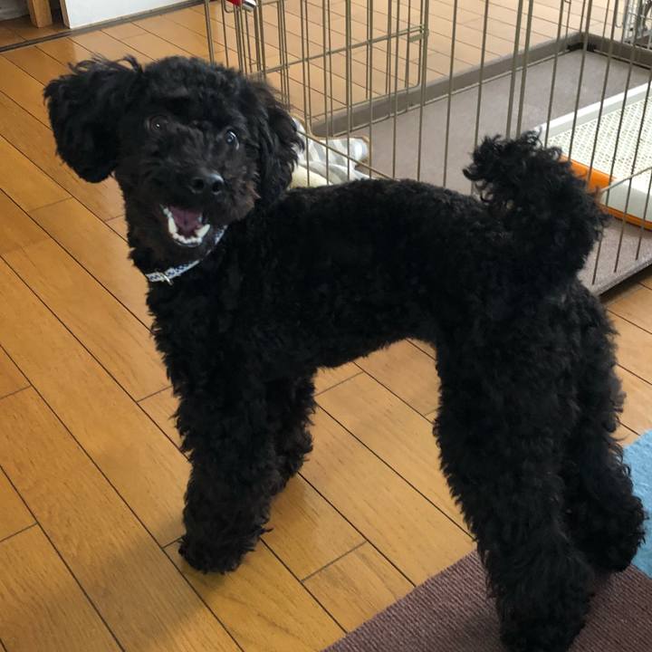 B70092df 35ea 4ed6 b855 eca555e9eccc 1522105094647