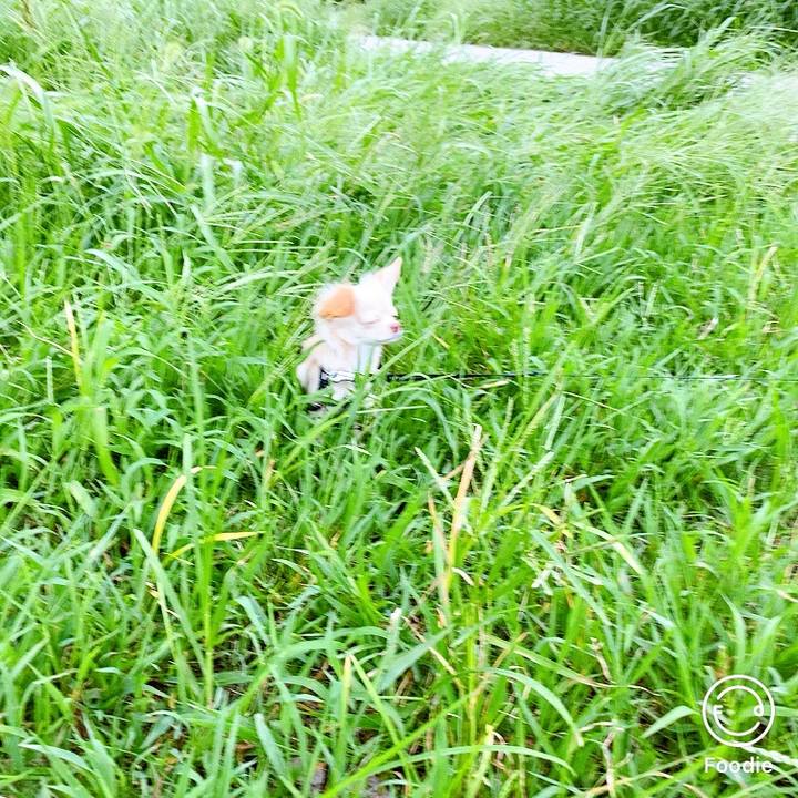 B700f5a4 9d2d 4c98 8285 fe96b2993e3f 1600575077476