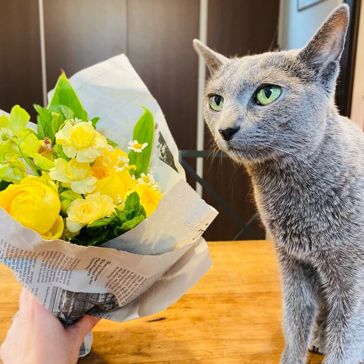 B70108e8 e4ff 44b5 a22f a4459176ab85 1620012624049