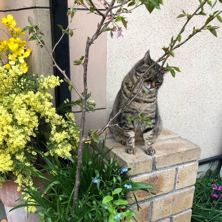 B7010fe8 7dd7 41a2 b60b 0f2d791817b6 1584874829033