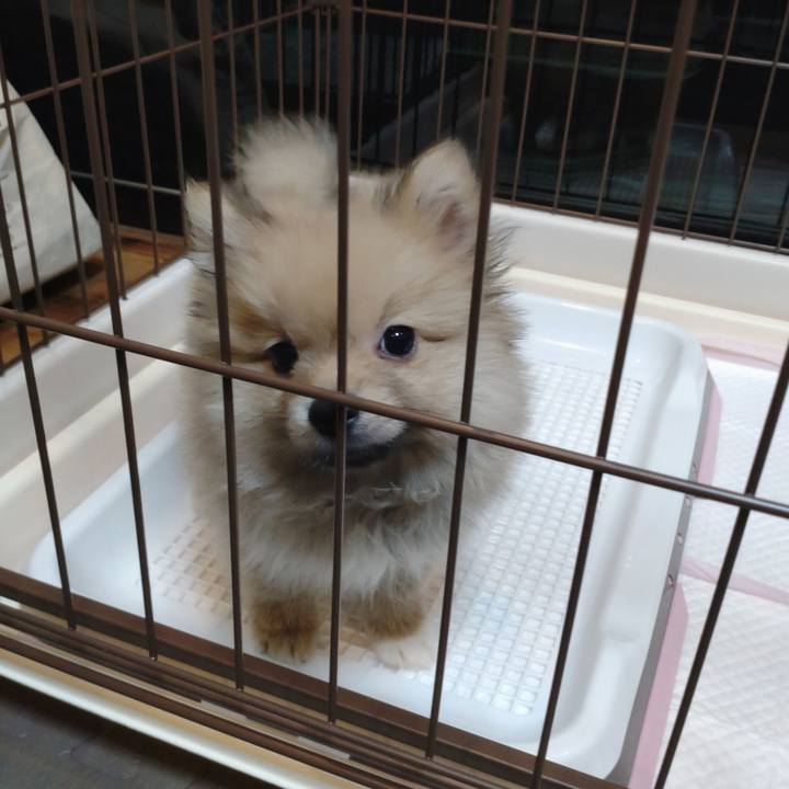 B701155f b461 4ddf 9004 94d4e0a19247 1731924633638