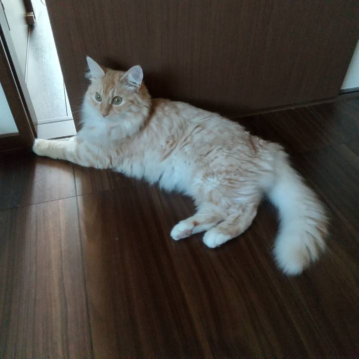 B7013a2a e5b4 438d 8cce 419abd06b6dc 1626741660919