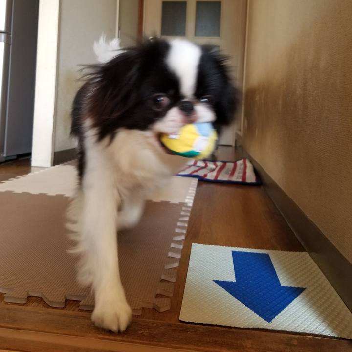 B7014c5e 6ce8 4a19 8957 5e6217f442f4 1641113400549