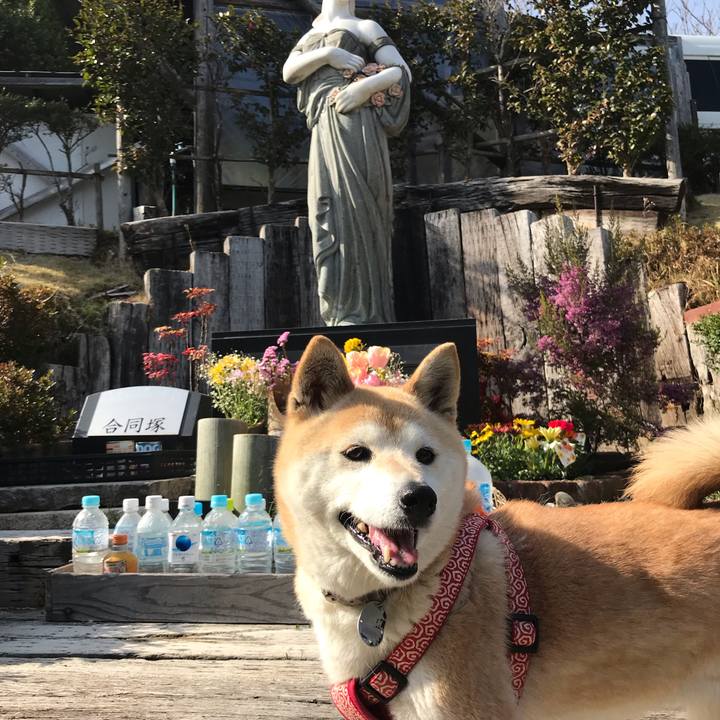 B7015044 6d44 4da4 ba0e 0b679e4c9781 1553128972190